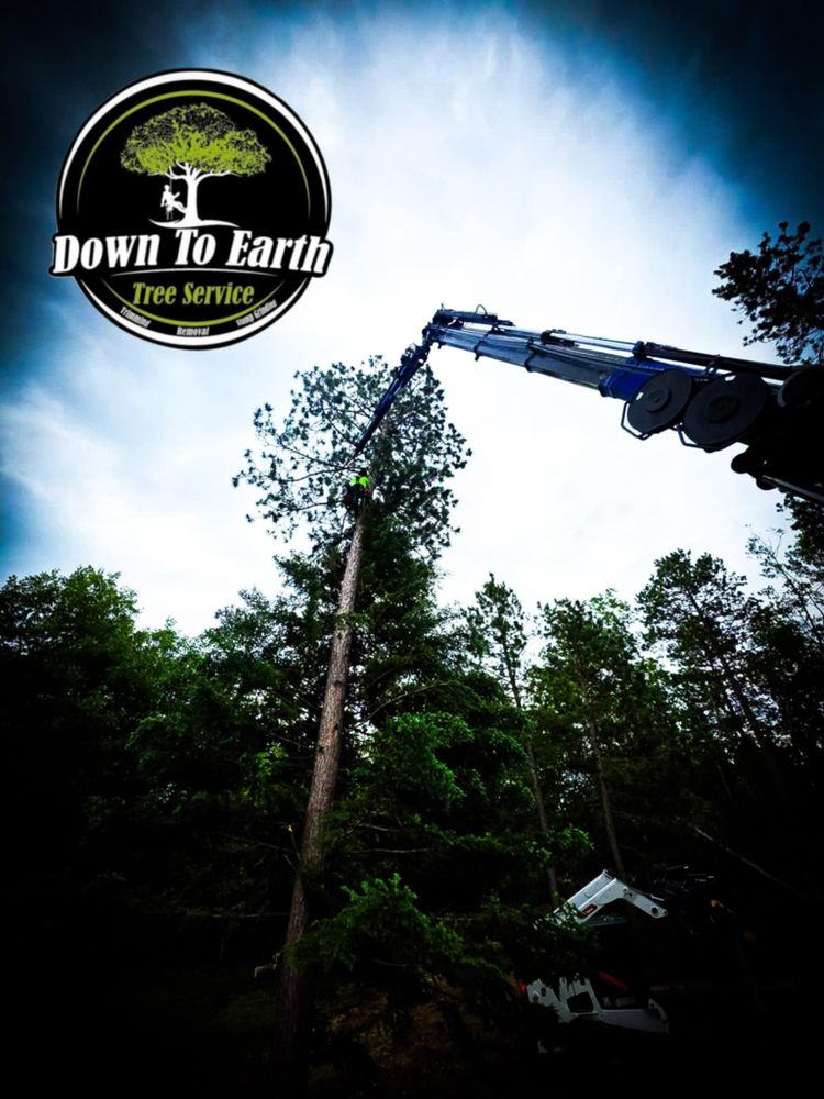 All Photos for Down To Earth Tree Service in Red Wing, MN
