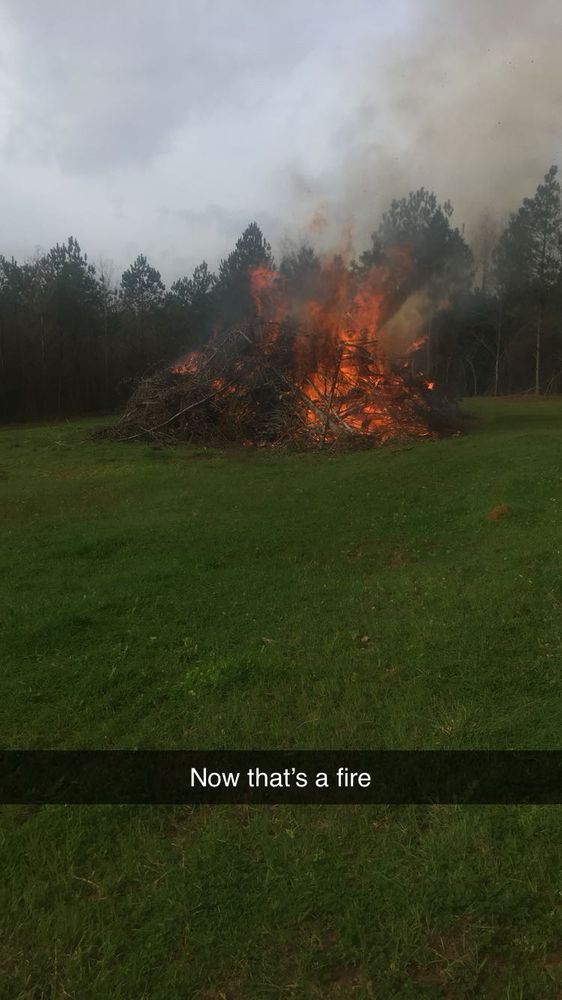 Land clearing for Rogers Land Services in Hawkinsville, GA