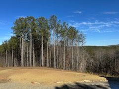 All Photos for Milford Septic and Plumbing in Lathemtown, GA