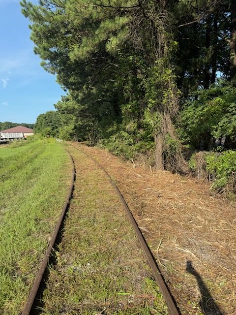All Photos for Lewis Oaks Landscaping in King and Queen County, VA