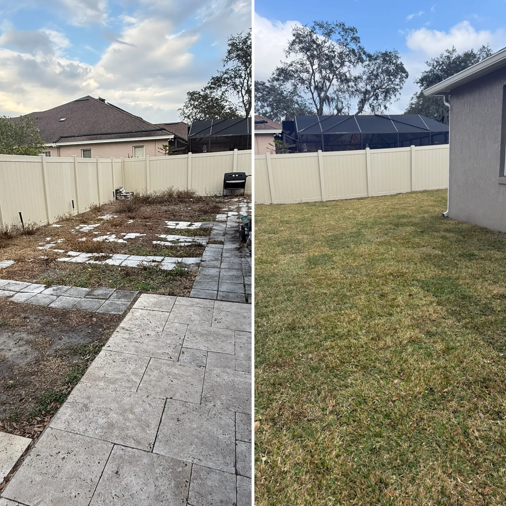 All Photos for Amerigrown Tree And Lawn in Apopka, FL