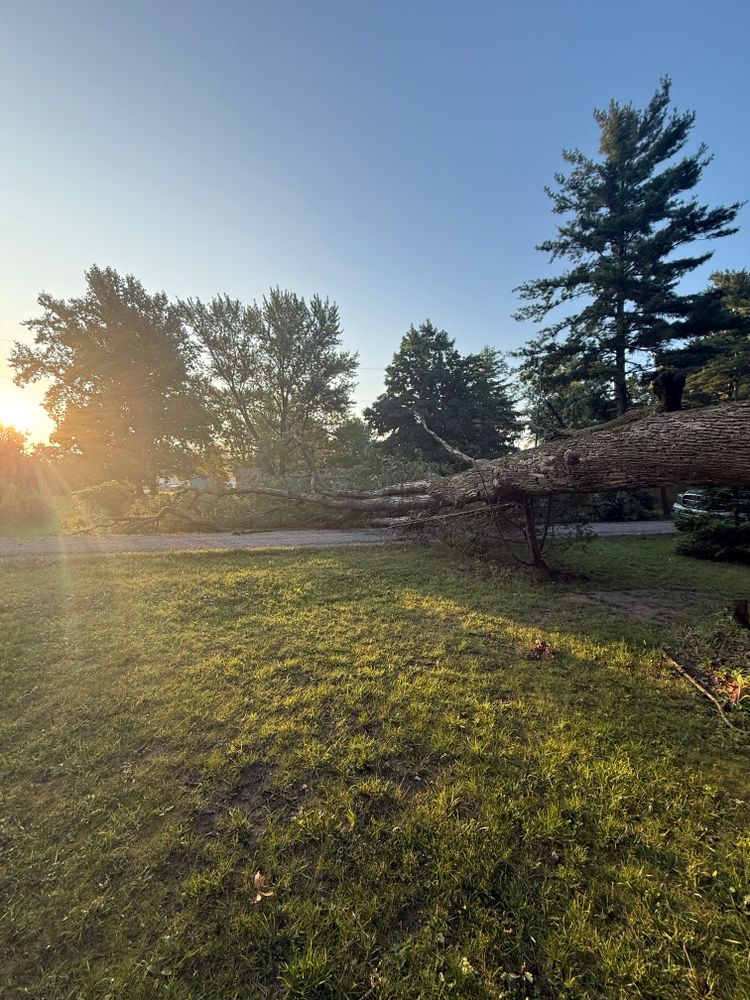 All Photos for Hunnicutt’s Tree Service L.L.C. in Monticello, IN