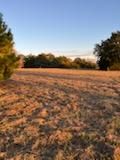 All Photos for Oviedo Land & Garden in Bastrop, TX
