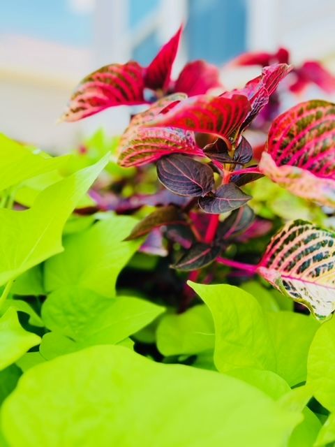 All Photos for Rustic Roots Landscaping in Austin, TX