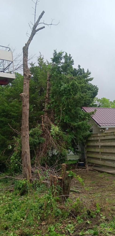 All Photos for Lawn Ranger Yard And Tree Service LLC in Ottumwa, IA