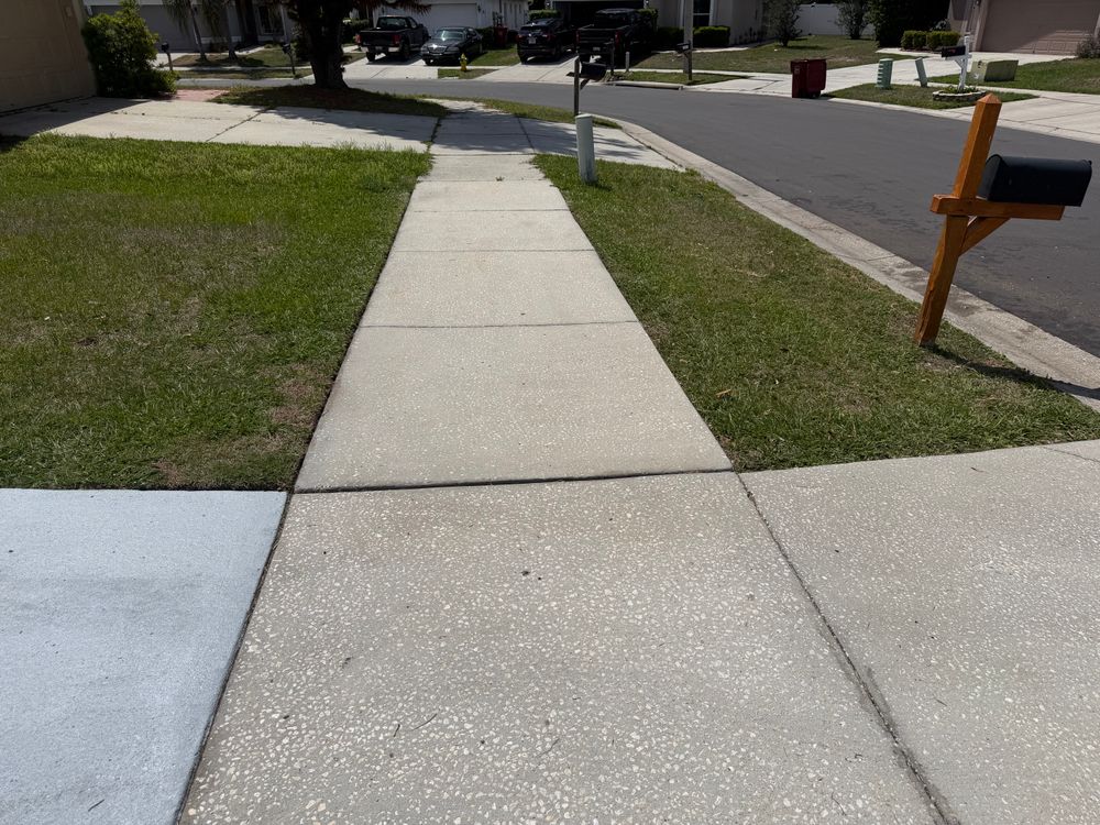All Photos for The Yardman in Tampa, FL