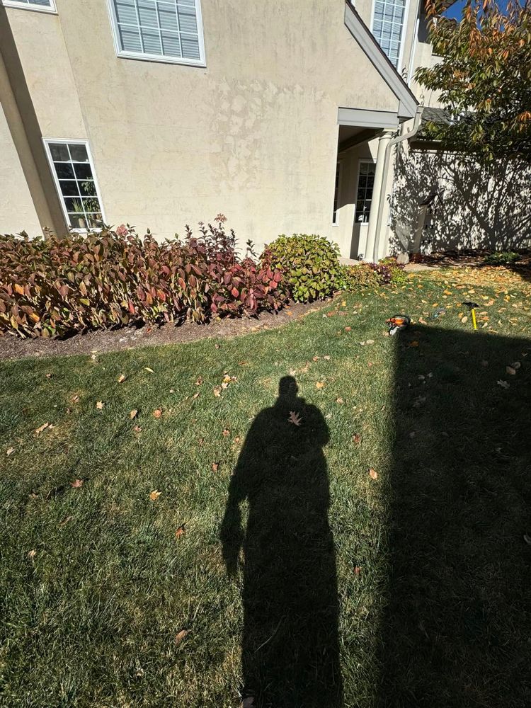 All Photos for Landscape & Lawn Care Pros in Temple, PA