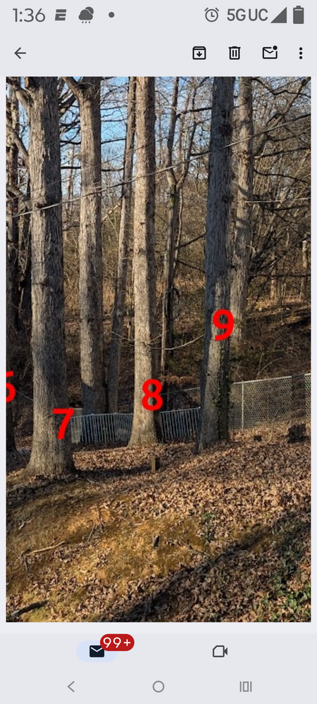 All Photos for Rush Tree Specialist in Knoxville, TN