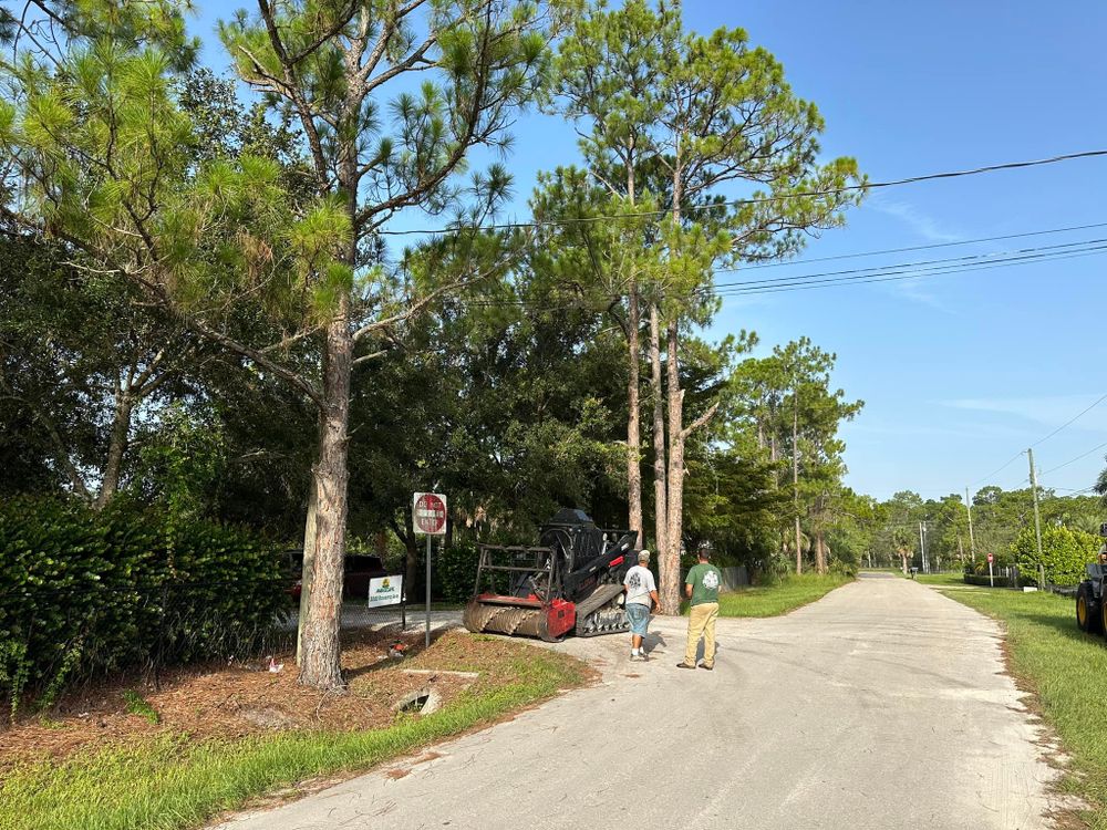 All Photos for McLeran in Naples, FL