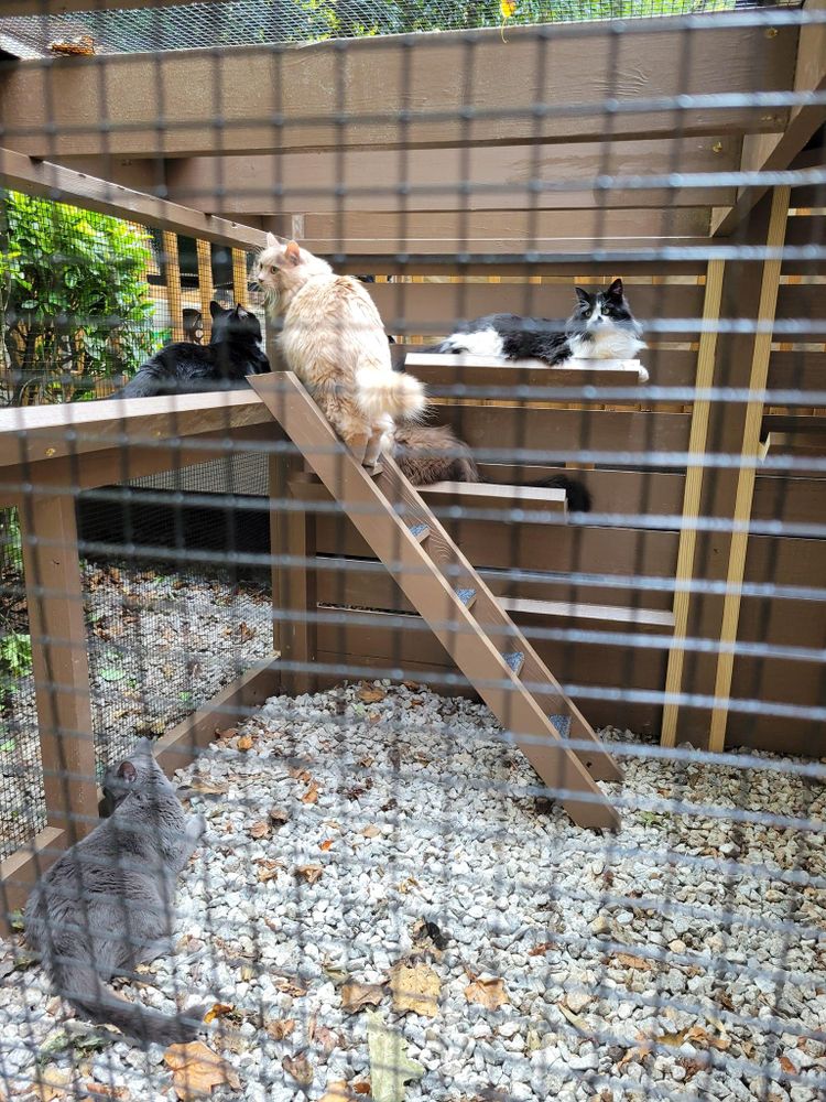 All Photos for GVL Renovations in Greenville, SC