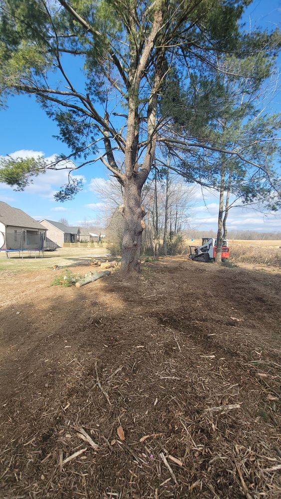 All Photos for Z's Land Management & Forestry Mulching in Smithville, TN