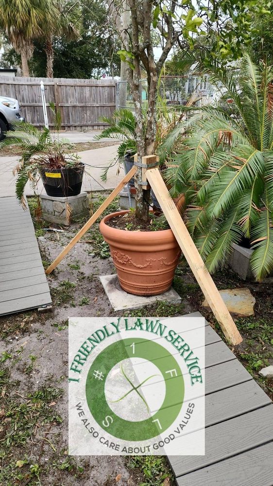All Photos for 1 Friendly Lawn Service  in Tampa, FL