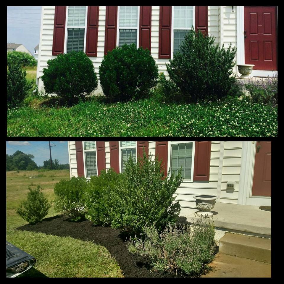 Lawn Care for Ace Property Solutions INC. in New Castle County, Delaware