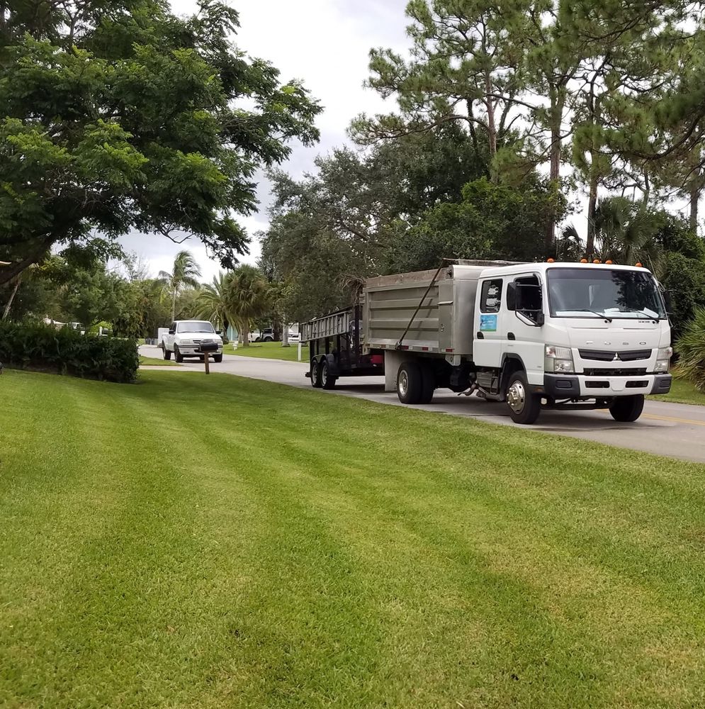 All Photos for L & J Palm Tree & Lawn Care Services in Jupiter, FL