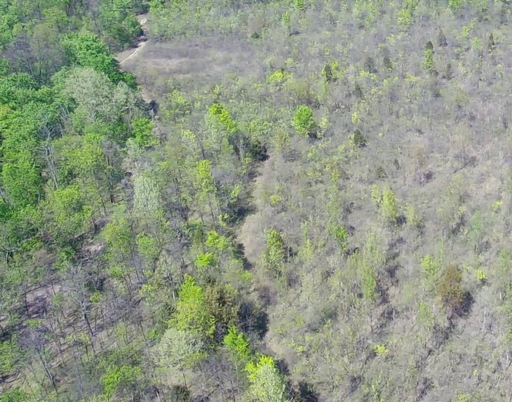 All Photos for New Horizon Contracting in Bardstown, KY