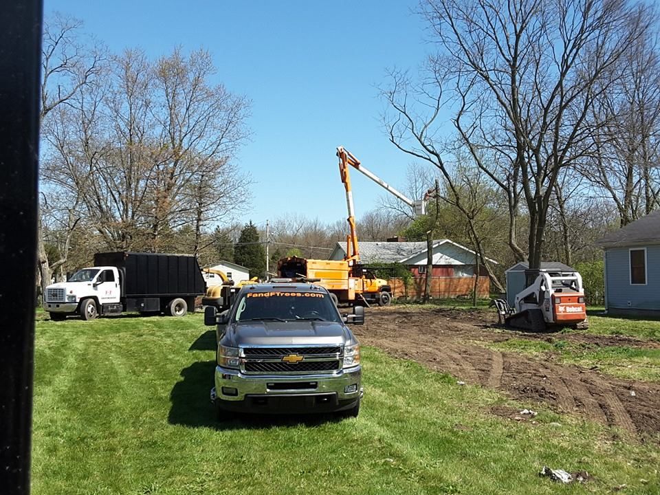 Tree Trimming and Removal for F & F Tree Service in Beavercreek, OH