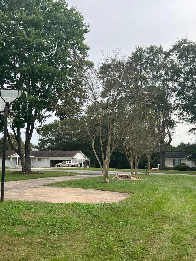 All Photos for Brooks Tree Service in Casar, NC