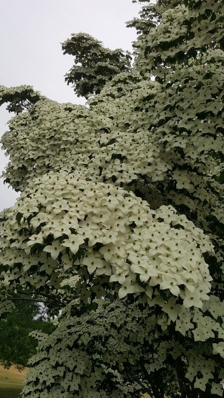 All Photos for Evolution Earthscapes, LLC in Ludlow, MA