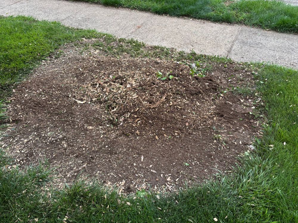 All Photos for Conrad's Stump Removal in Columbus, IN