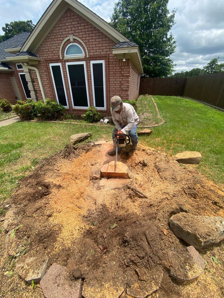 All Photos for Hector’s Tree Services in Nocona, TX