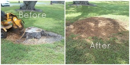 Stump Grinding for Reliable Stump Grinding in Frankston, TX