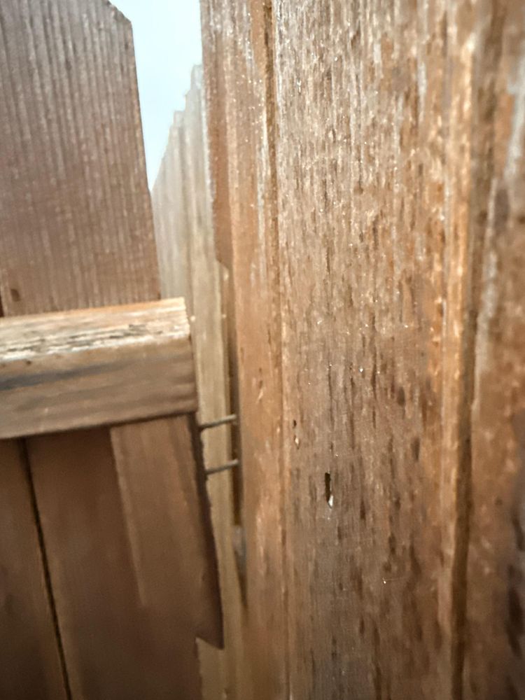 All Photos for Ansley Staining and Exterior Works in New Braunfels, TX