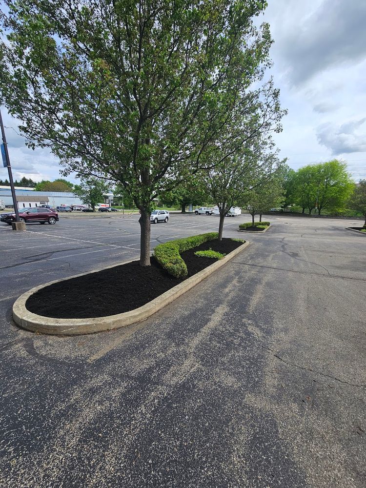 All Photos for Tel Ma Landscaping Maintenance LLC  in Urbana, OH