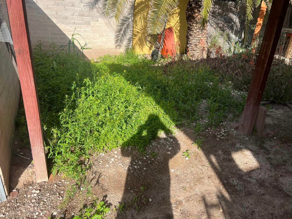 All Photos for Sammy’s Yard Maintenance And Irrigation Repairs in Oracle, AZ