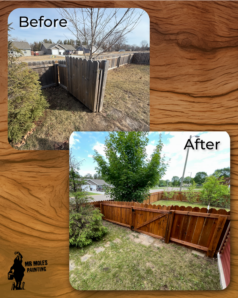 All Photos for Mr. Mole's Painting in Bemidji, MN