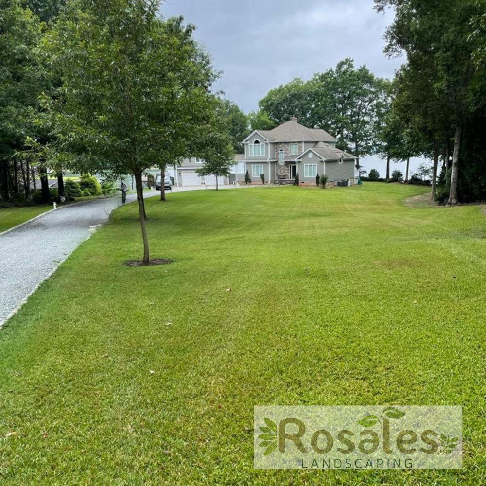 All Photos for Rosales Landscaping LLC in Lake Gaston, North Carolina