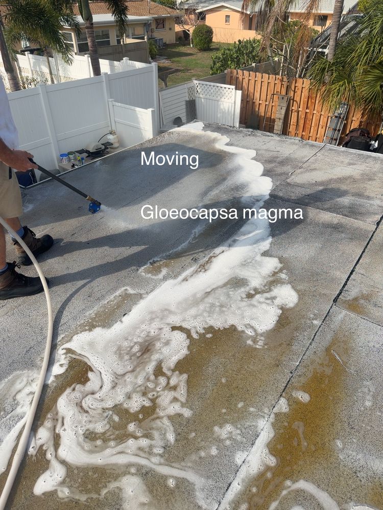 All Photos for My Soft Wash Guys in Venice, FL