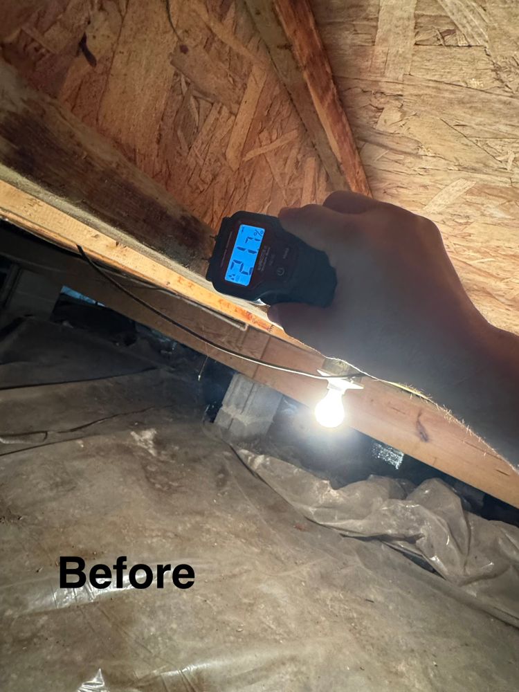 Crawlspace/Attic Renovation  for All-In Pest Control & Home Solutions in Greene County, IN