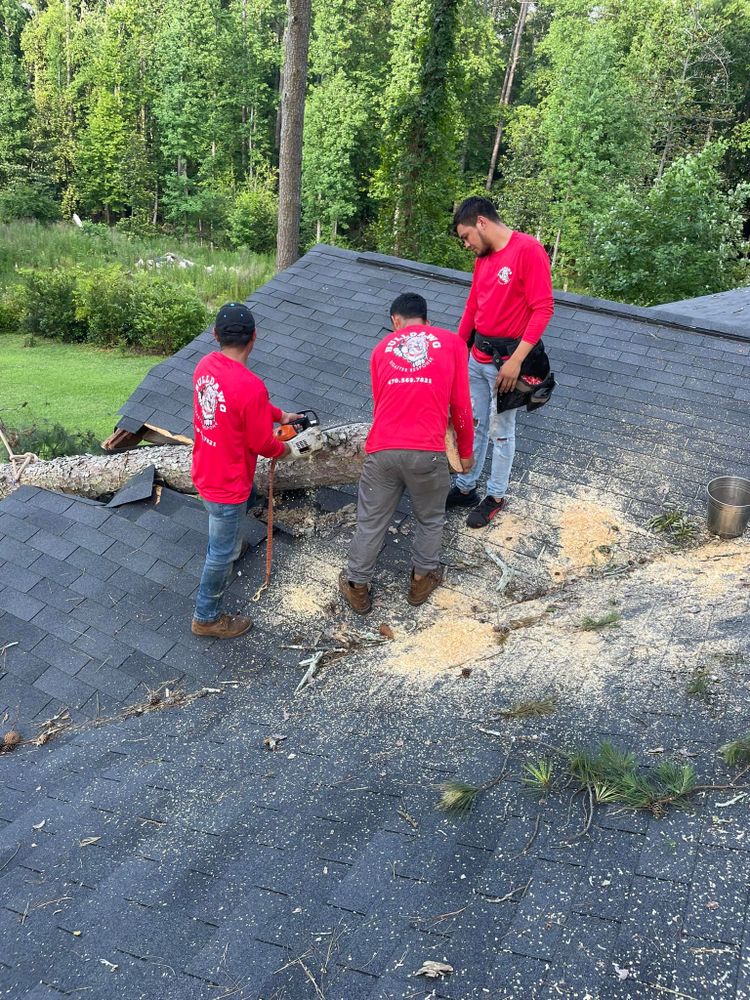 Our professional Tree Removal service ensures safe and efficient elimination of unwanted trees, enhancing your property's safety and aesthetics while preventing potential damage from diseased or overgrown trees. for Bulldawg Disaster Response in Atlanta, GA