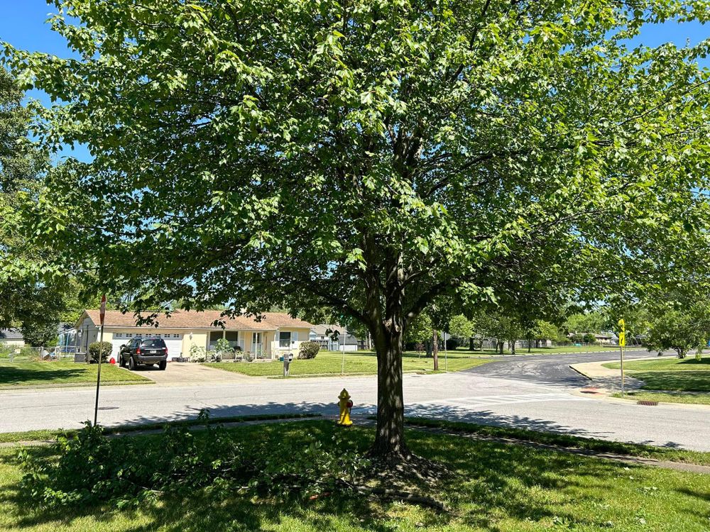 All Photos for Bearforce Lawn Care LLC in Greenfield, IN