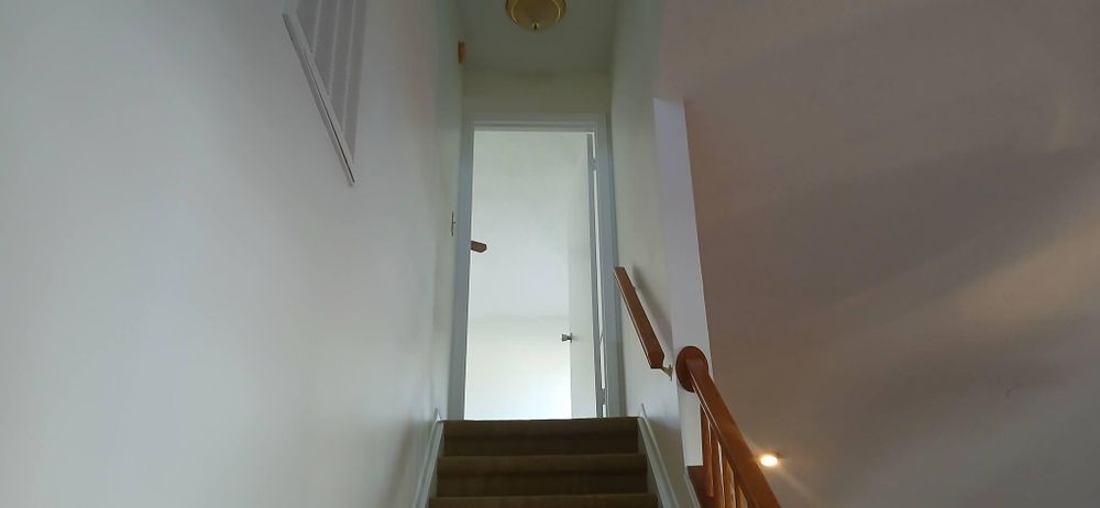 All Photos for Bradley Bradshaw Painting in Christmas, FL