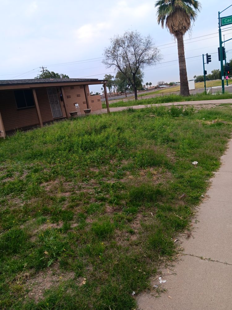 All Photos for Family Landscaping in Phoenix, AZ