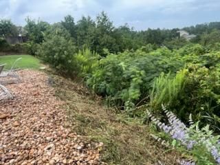 All Photos for Oviedo Land & Garden in Bastrop, TX