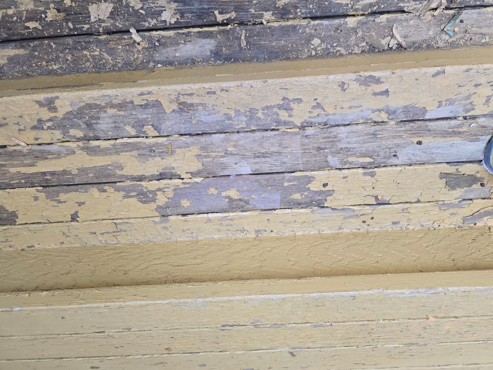 All Photos for Duraplus Topcoat Painting in New Brighton, MN