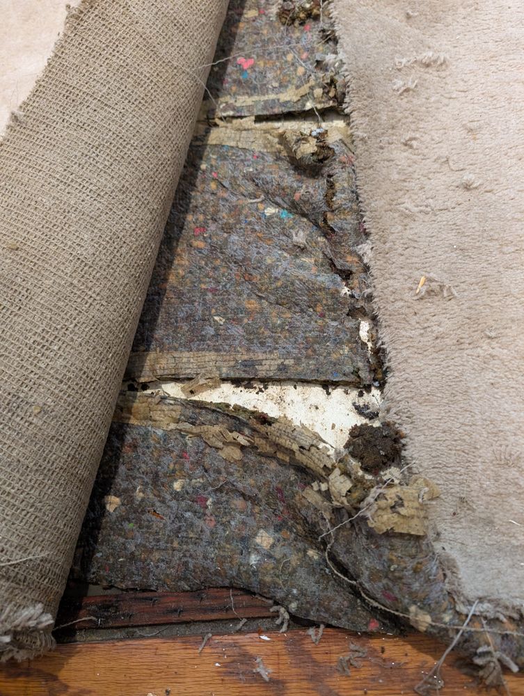 All Photos for Best Option Restoration of Denton in Denton, TX