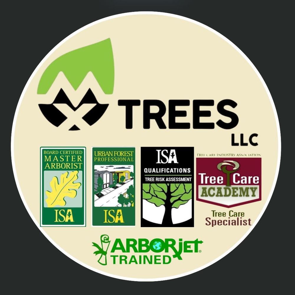 All Photos for MX Trees in Englewood, FL