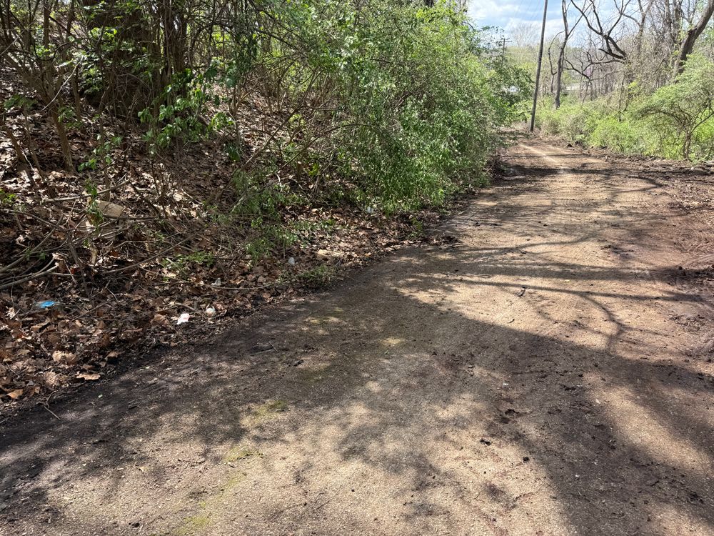 All Photos for A1 Bush Hogging & Lawn Service in London, OH