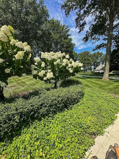 All Photos for Newtons Lawncare LLC in North Ridgeville, OH