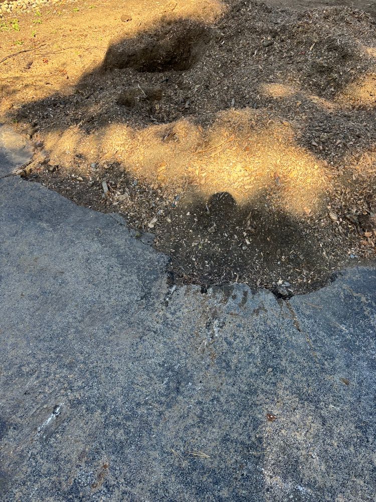 All Photos for Dean's Stump Removal in Youngstown, OH