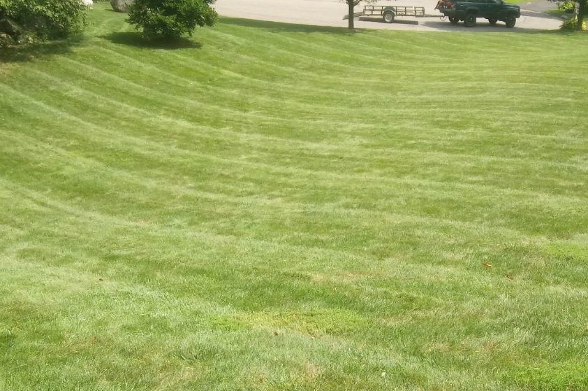 Our fertilization service will rejuvenate your lawn by providing essential nutrients to promote healthy growth and vibrant greenery, ensuring a beautiful landscape that enhances the curb appeal of your home. for Grassy Turtle Services, LLC.  in Oxford, CT