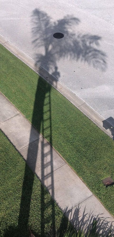 All Photos for Bills Tree Service in Valrico, FL