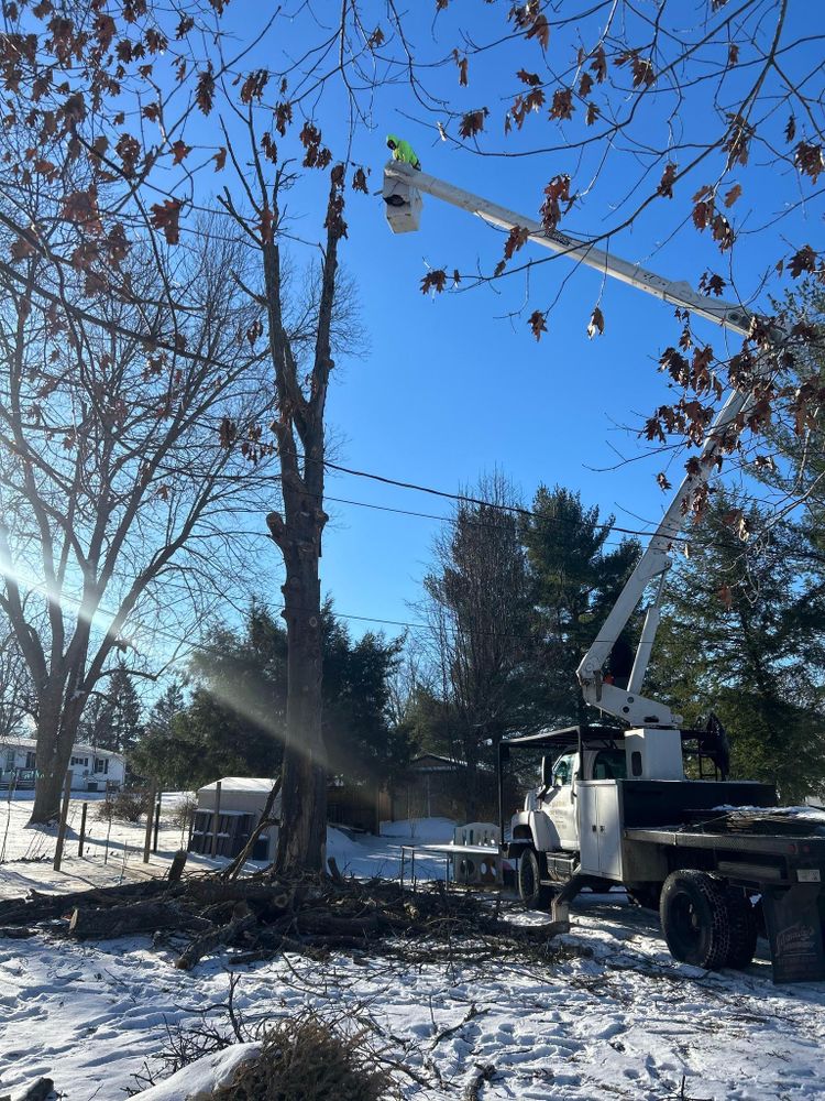 All Photos for Lightning Tree Service in Corydon, IN