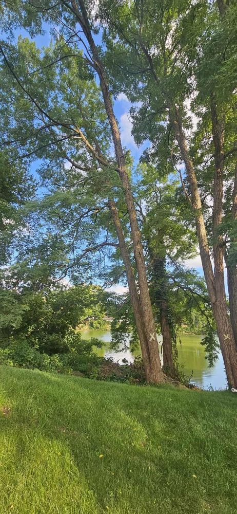 All Photos for Highborn Tree Service in Wheatfield, IN