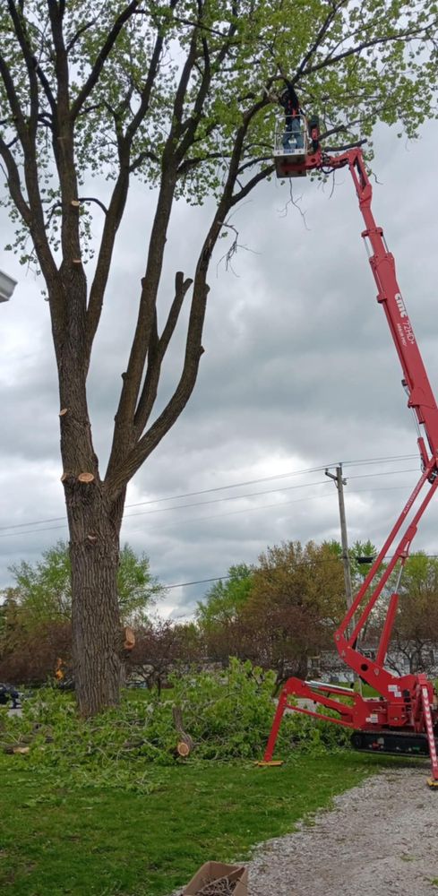 All Photos for Lawn Ranger Yard And Tree Service LLC in Ottumwa, IA