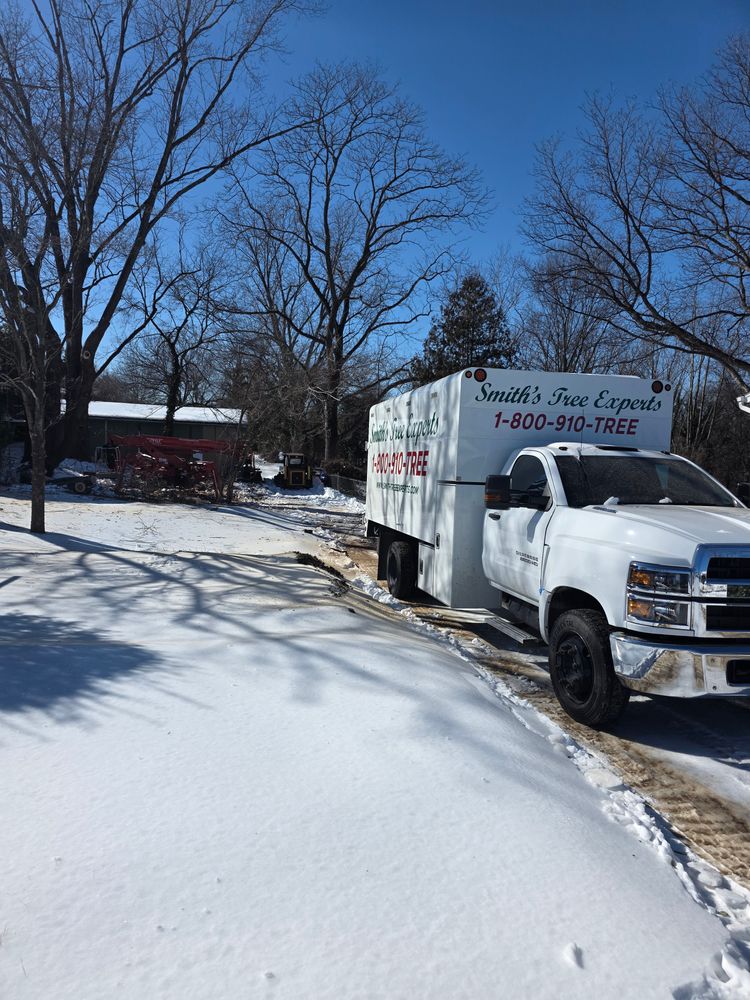 All Photos for Smith Tree Experts in Palmyra, VA