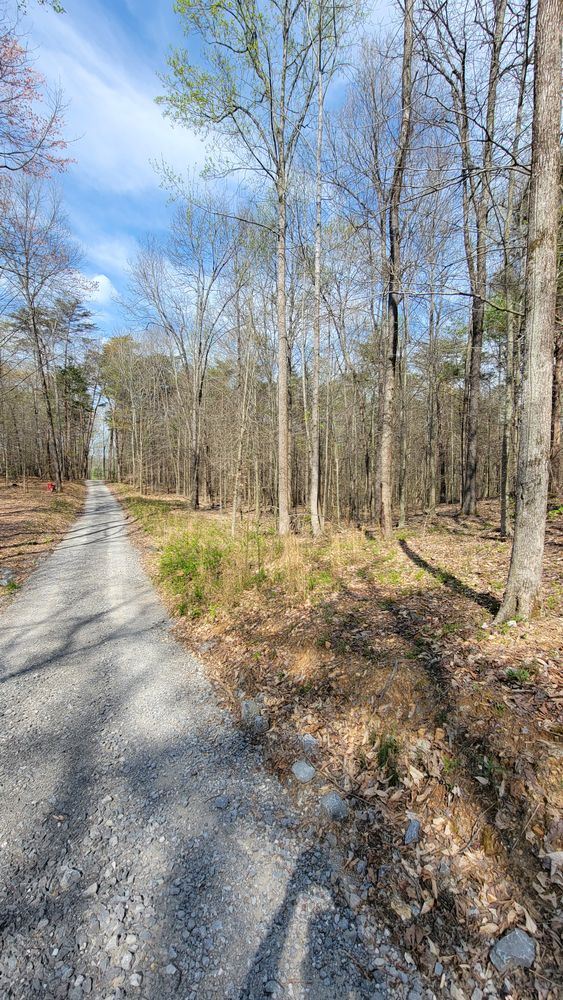 All Photos for Z's Land Management & Forestry Mulching in Smithville, TN